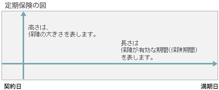 定期保険満期型