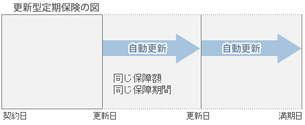 定期保険更新型