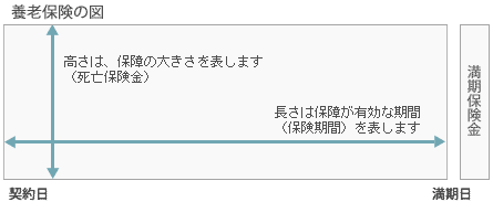 養老保険
